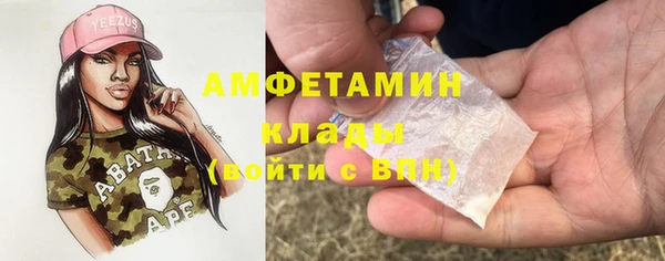 прущие грибы Дмитров