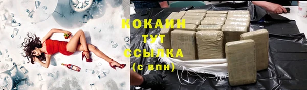 трава Гусев