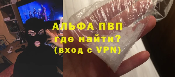 спиды Тайга