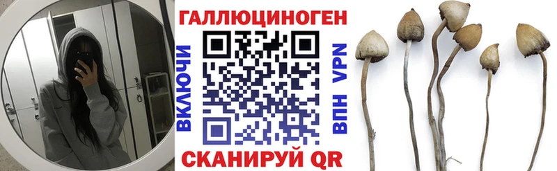 Псилоцибиновые грибы Psilocybe Купить Алексин